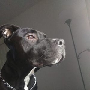 Meet your Posher, Nathan